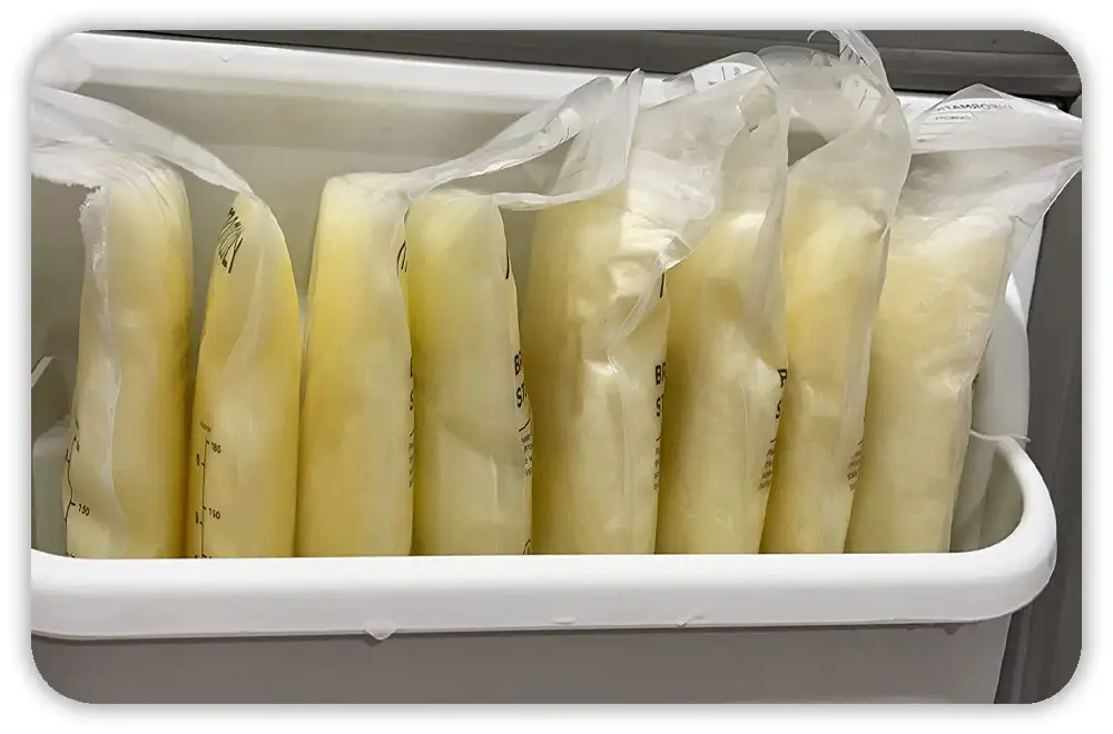 Best Reusable Alternatives If You Want to Go Green