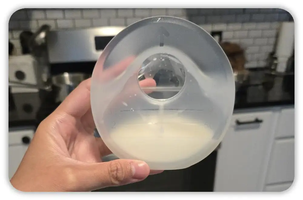 Boon Trove Breast Pump Review