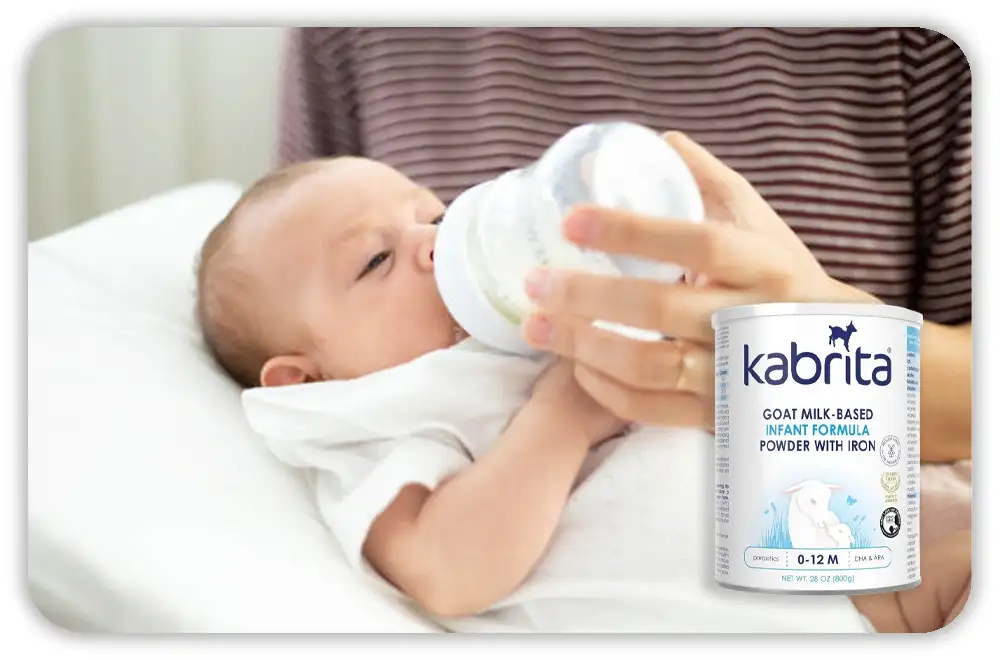What is Kabrita Formula