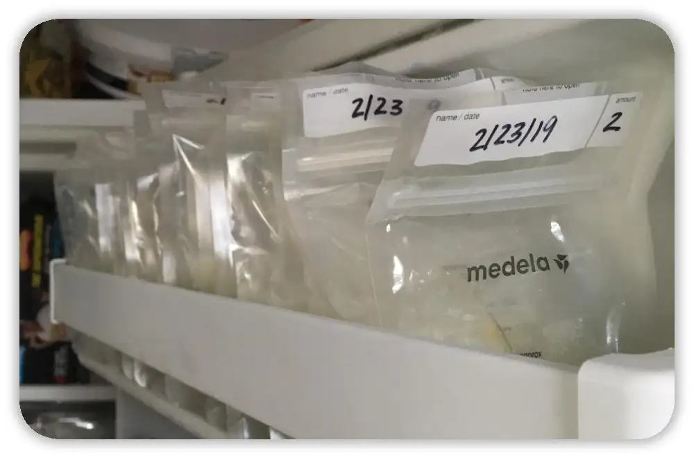 Which Medela Bags Are Reusable?