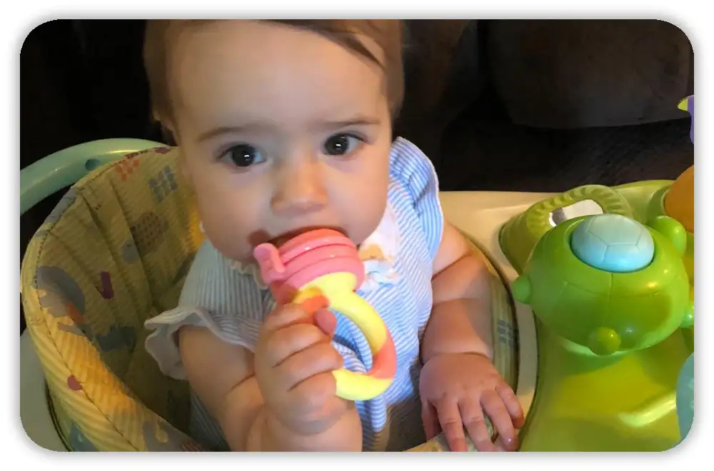 NatureBond vs. Other Popular Baby Feeders