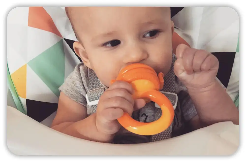 The Pros: Why Parents Love the NatureBond Baby Feeder